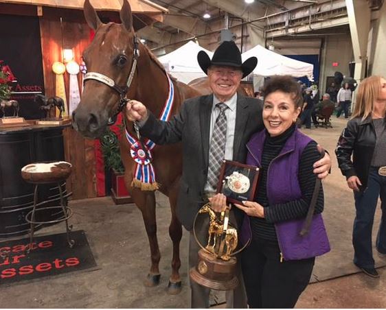 Grace Berton AQHA Halter Horse Breeder 2017 World Champion Show